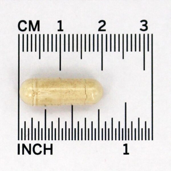 Comprar Potássio Complexo de Aminoácidos 99 mg. - Cápsulas 100 Solaray - Imagem 4