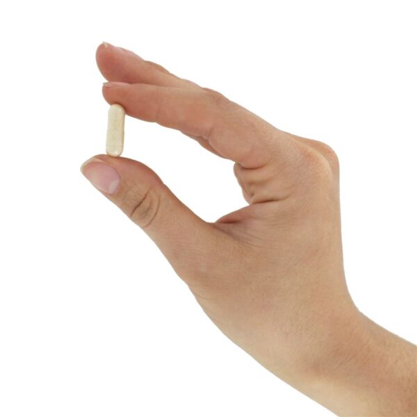 Comprar Potássio Complexo de Aminoácidos 99 mg. - Cápsulas 100 Solaray - Imagem 5