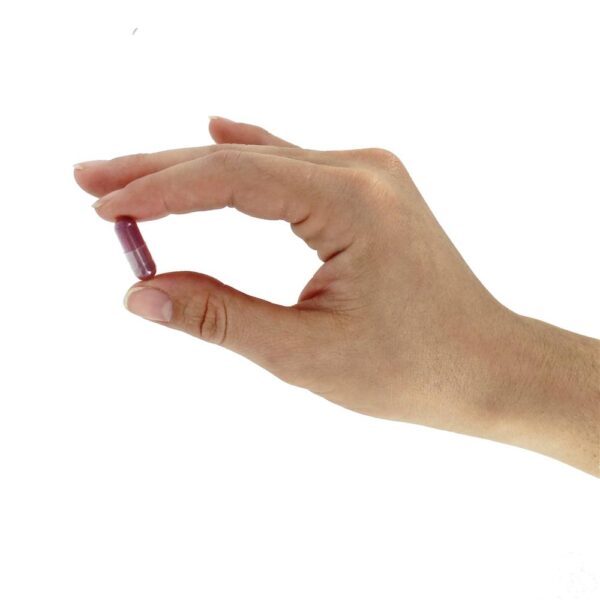 Comprar Extrato Tart Cherry Fruit 425 mg. - Cápsulas vegetarianas 90 Solaray - Imagem 5