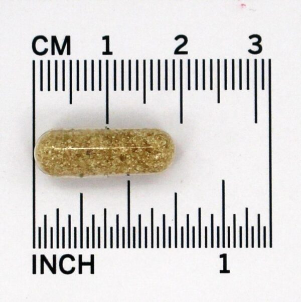 Comprar Garantido Potência Pygeum Africanum Extrair 50 mg. - Cápsulas 60 Solaray - Imagem 5