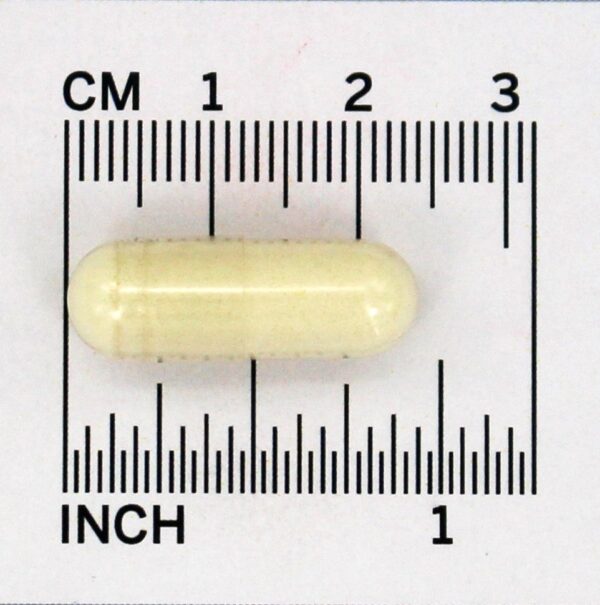 Comprar Colostro Plus - Cápsulas 240 Symbiotics - Imagem 4