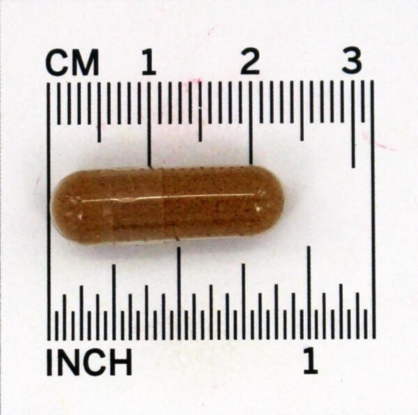 Comprar Bagas de Hawthorn 525 mg. - Cápsulas 100 Solaray - Imagem 4