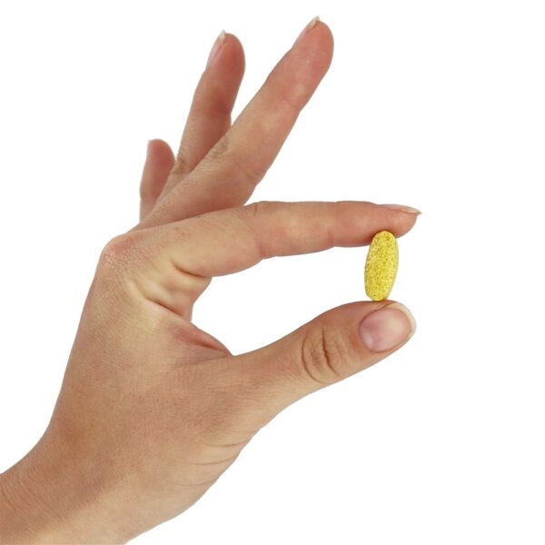 Comprar Men's Blend Multivitamínico Para Homens Livre de Ferro - 180 Tablets Super Nutrition - Imagem 6