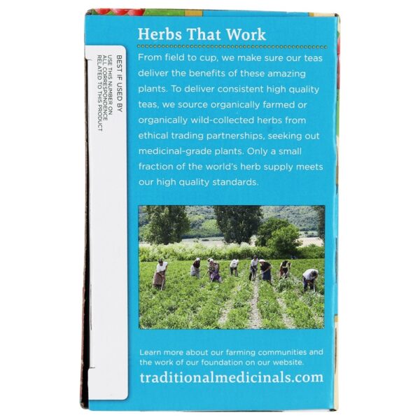 Comprar EveryDay Detox chá de ervas Schisandra Berry - 16 Saquinhos de Chá Traditional Medicinals - Imagem 4