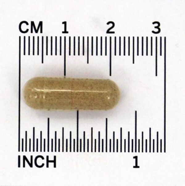 Comprar Cascas de Psyllium 625 mg. - Cápsulas 180 Yerba Prima - Imagem 4