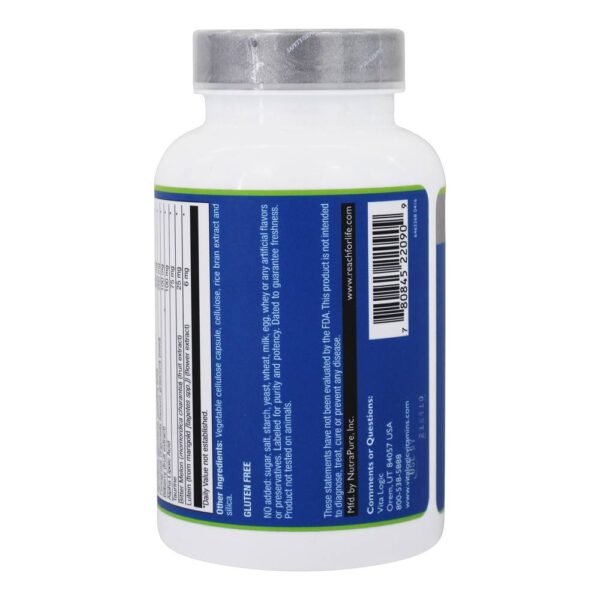 Comprar Fórmula de açúcar no sangue Canela Chromo e antioxidantes - Cápsulas vegetarianas 90 Vita Logic - Imagem 4