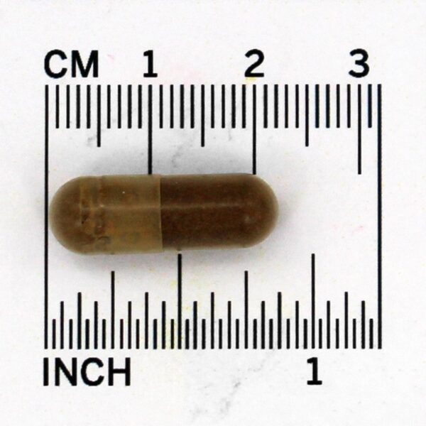 Comprar Tampas da Própolis 1000 mg. - Cápsulas 90 YS Organic Bee Farms - Imagem 4