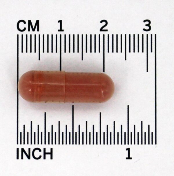 Comprar Arroz de fermento vermelho 600 mg. - Cápsulas vegetarianas 120 Solaray - Imagem 4