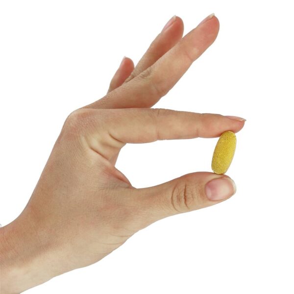 Comprar Simplesmente Um 50+ Homens Triplo Poder Multivitaminas Ferro Livre - 30 Tablets Super Nutrition - Imagem 5