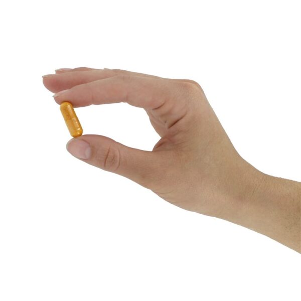 Comprar Curcumina de Alta Absorção da Raiz de Curcuma 500 mg. - Cápsulas 120 Doctor's Best - Imagem 5