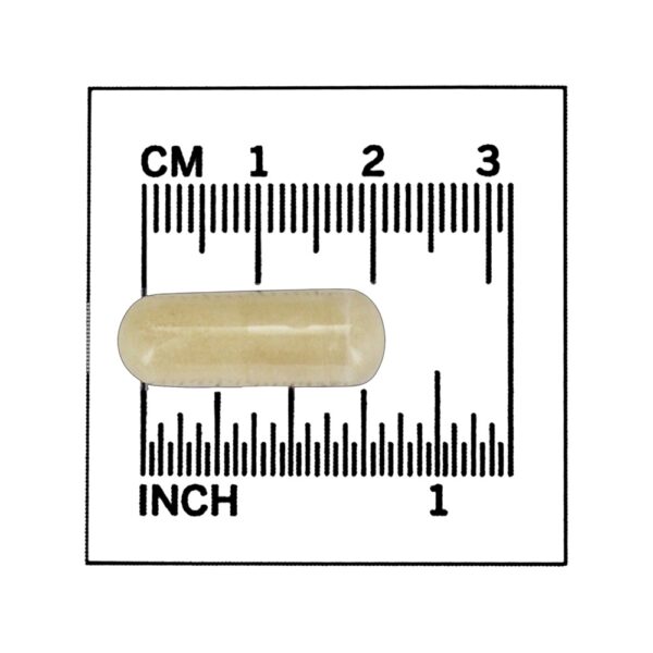 Comprar Pectina Cítrica Modificada 800 mg. - 180 Cápsula (s) vegetal (s) NOW Foods - Imagem 4