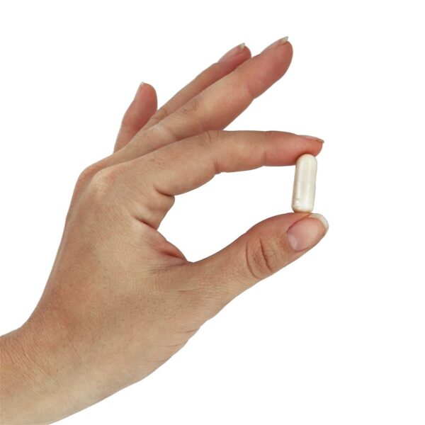 Comprar Pectina Cítrica Modificada 800 mg. - 180 Cápsula (s) vegetal (s) NOW Foods - Imagem 5