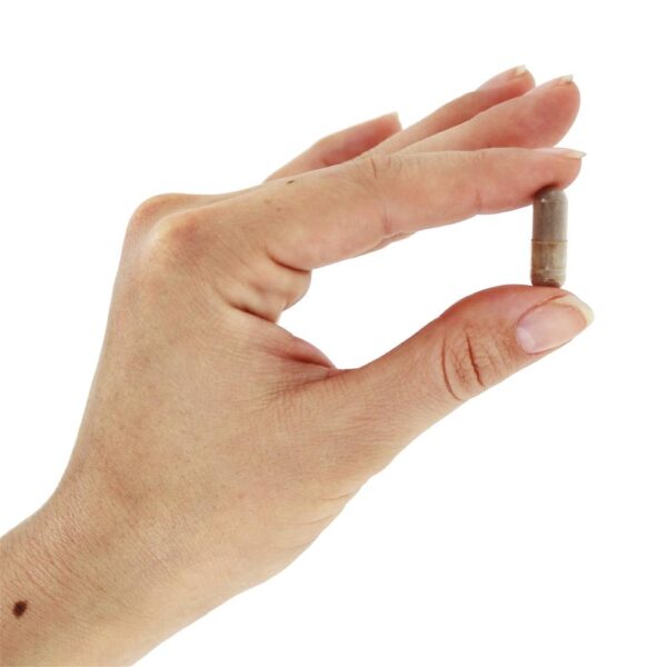 Comprar Blood Pressure Health Suporte Cardiovascular - 90 Cápsula (s) vegetal (s) NOW Foods - Imagem 5