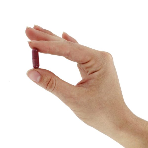 Comprar Raiz Beterraba 605 mg. - Cápsulas 100 Solaray - Imagem 6