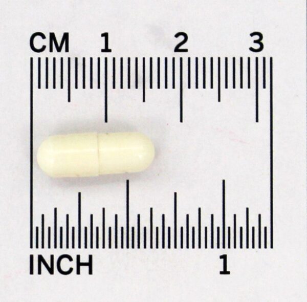 Comprar Fem Dophilus para Mulheres - Cápsulas 60 Jarrow Formulas - Imagem 5