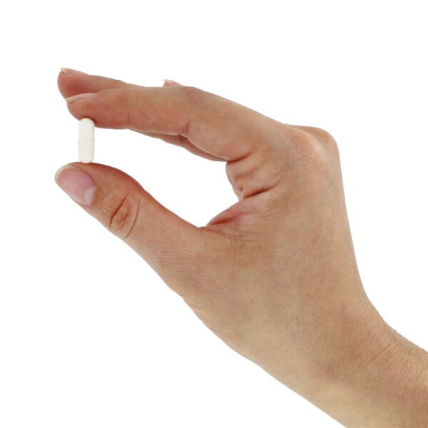Comprar Fem Dophilus para Mulheres - Cápsulas 60 Jarrow Formulas - Imagem 6