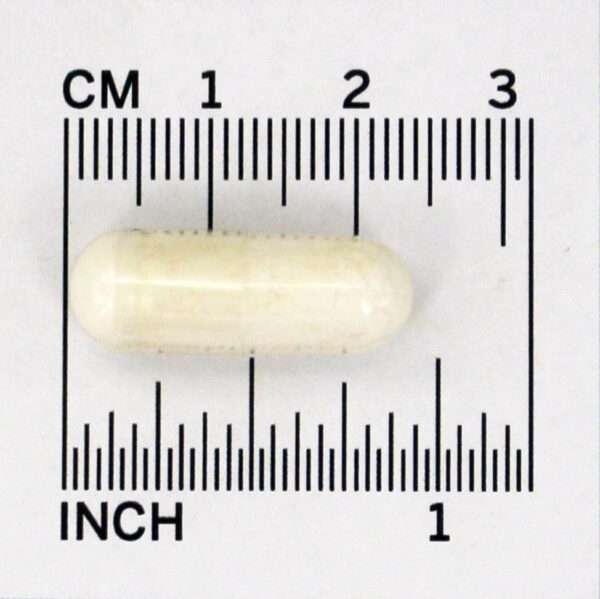 Comprar L-Triptofano 500 mg. - 60 Cápsula (s) vegetal (s) NOW Foods - Imagem 4