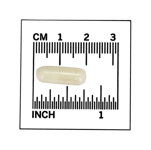Comprar 5-HTP Suporte para Neurotransmissores 50 mg. - 180 Cápsula (s) vegetal (s) NOW Foods - Imagem 4