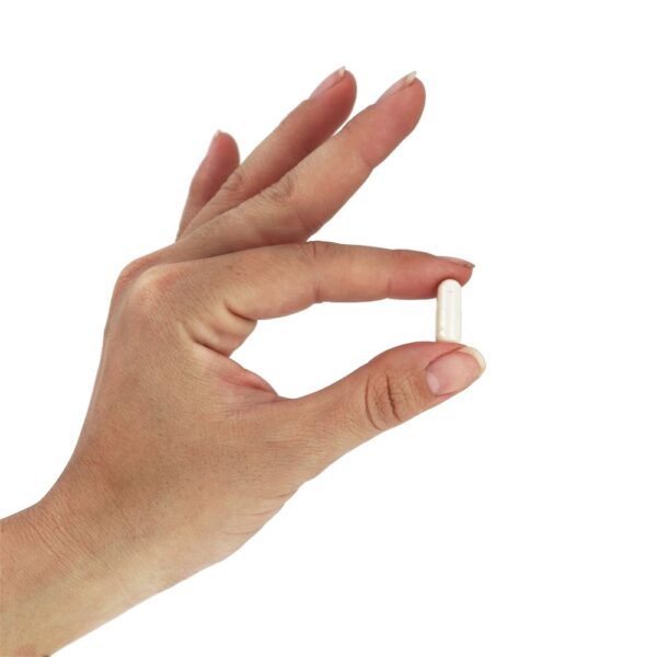 Comprar 5-HTP Suporte para Neurotransmissores 50 mg. - 180 Cápsula (s) vegetal (s) NOW Foods - Imagem 5