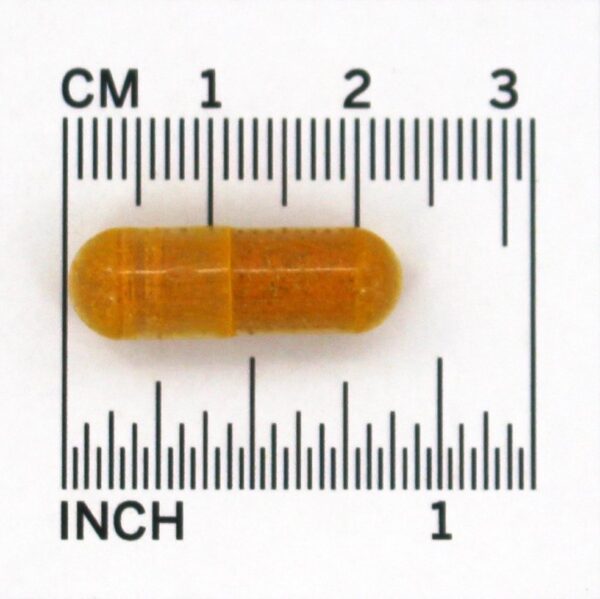 Comprar Fenecane Curcumin & DLPA - Cápsulas vegetarianas 60 OxyLife Products - Imagem 4