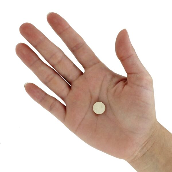 Comprar Suplemento natural para alimentos e fadiga natural - 100 Tablets Bio-Strath - Imagem 6