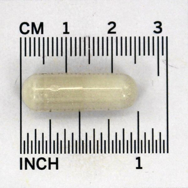 Comprar Algas Minerais Vermelhas Cálcio Vegetariano - Cápsulas vegetarianas 180 NOW Foods - Imagem 4