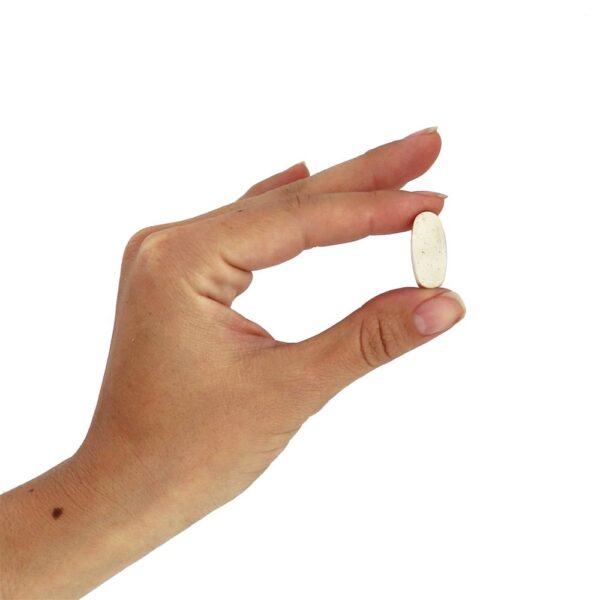Comprar Proteção antioxidante C-1000 - 100 Tablets NOW Foods - Imagem 5