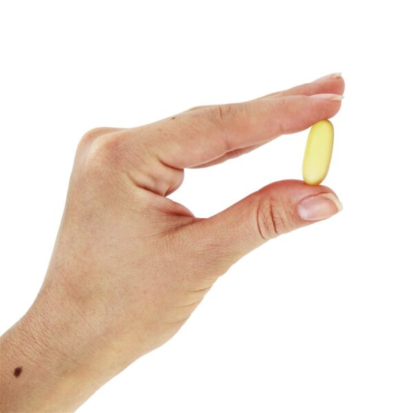 Comprar DHA-500 Dupla Força - 250 EPA para a Saúde Cerebral - 180 Softgels NOW Foods - Imagem 5