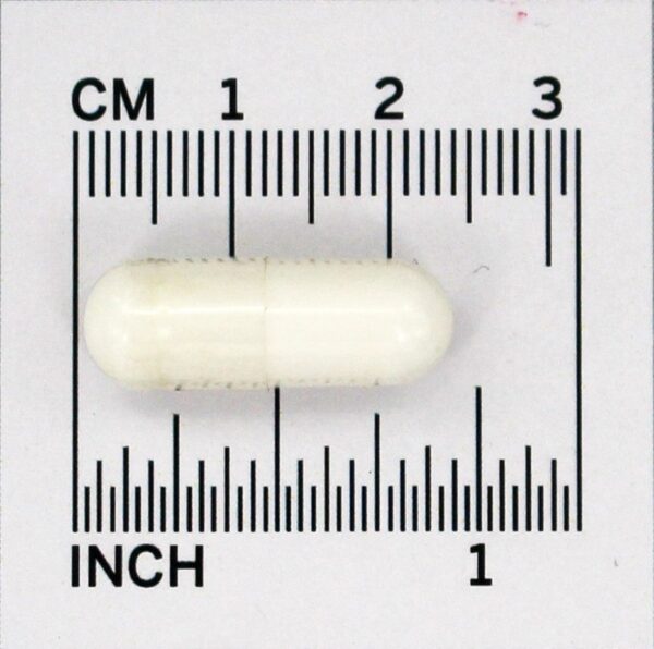 Comprar Alpha GPC 300 mg. - 60 Cápsula (s) vegetal (s) NOW Foods - Imagem 4