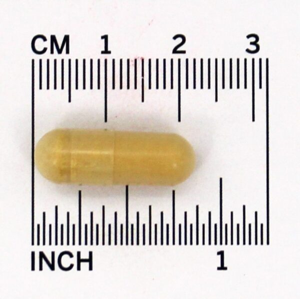 Comprar Vantagem do Milk Thistle 525 mg. - Cápsulas vegetarianas 60 Natrol - Imagem 4