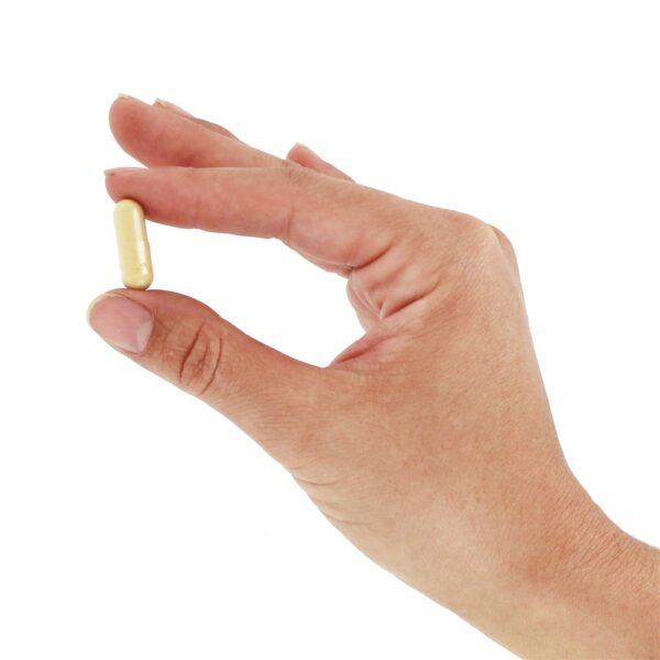 Comprar Vantagem do Milk Thistle 525 mg. - Cápsulas vegetarianas 60 Natrol - Imagem 5
