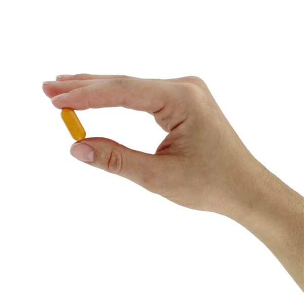 Comprar Curcumina de Alta Absorção da Raiz de Curcuma 1000 mg. - 120 Tablets Doctor's Best - Imagem 6
