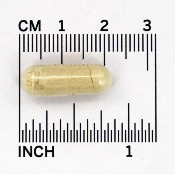 Comprar Enzima de abacaxi com bromelina 2000 GDU / Gram 500 mg. - Cápsulas 60 Source Naturals - Imagem 4