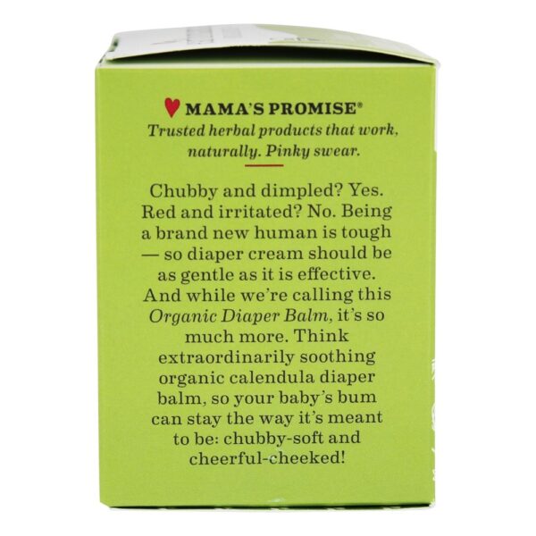 Comprar Bálsamo de Fralda Orgânica - 2 oz. Anteriormente erupção cutânea com fralda de bálsamo inferior Earth Mama - Imagem 4