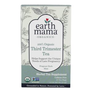 Comprar Hortelã-erva perfumado de cafeína livre de cafeína terceiro chá orgânico - 16 Saquinhos de Chá Earth Mama