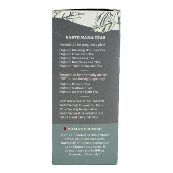 Comprar Hortelã-erva perfumado de cafeína livre de cafeína terceiro chá orgânico - 16 Saquinhos de Chá Earth Mama - Imagem 4