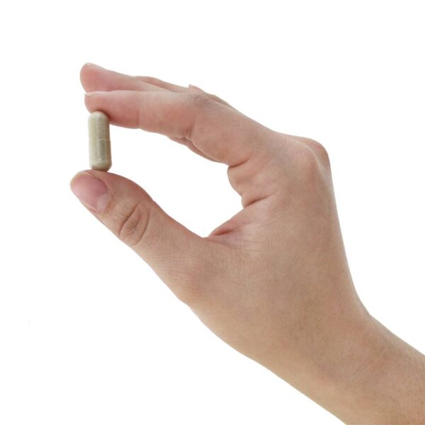 Comprar Código De Vitamina RAW Um Multi-Vitamina Para Mulheres - Cápsulas vegetarianas 75 Garden of Life - Imagem 6