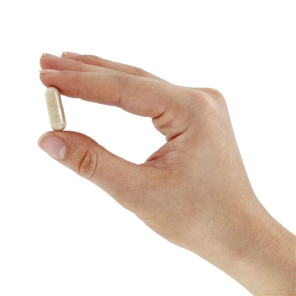 Comprar Código De Vitamina RAW Um Multi-Vitamina Para Homens - Cápsulas vegetarianas 75 Garden of Life - Imagem 4