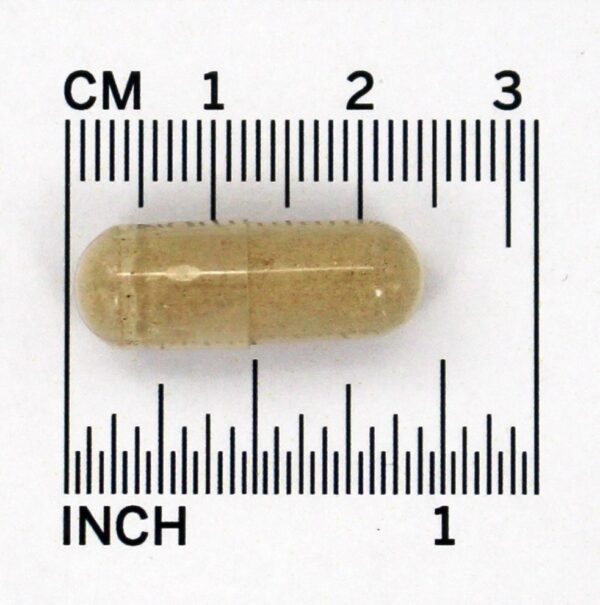 Comprar Código Vitamina RAW Pré-natal Multi - Cápsulas vegetarianas 90 Garden of Life - Imagem 5