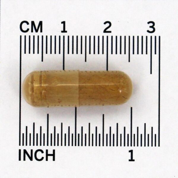 Comprar Maca mg 750 mg . - 90 Cápsula (s) vegetal (s) NOW Foods - Imagem 4