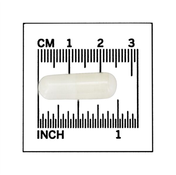 Comprar Glicina 1000 mg. - 100 Cápsula (s) vegetal (s) NOW Foods - Imagem 4