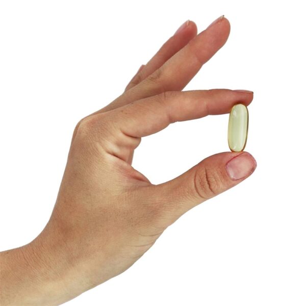 Comprar Omega-3 Óleo de Peixe 1000 mg. - 500 Softgels NOW Foods - Imagem 5