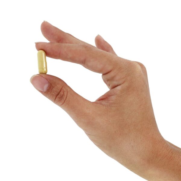 Comprar Joint Health Advanced - Cápsulas vegetarianas 60 Membrell - Imagem 6