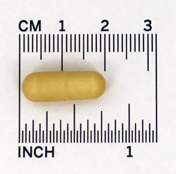 Comprar Nattokinase & Serrapeptase Potência Extra Com Revestimento Entérico - Cápsulas vegetarianas 30 Solaray - Imagem 4