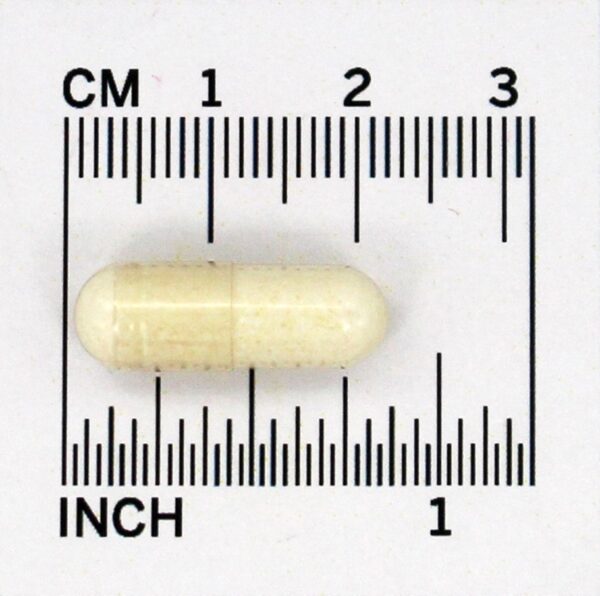 Comprar Suplemento Mestre Probiótico de Theralac 30 Bilhões de UFC - Cápsulas 30 Master Supplements - Imagem 4