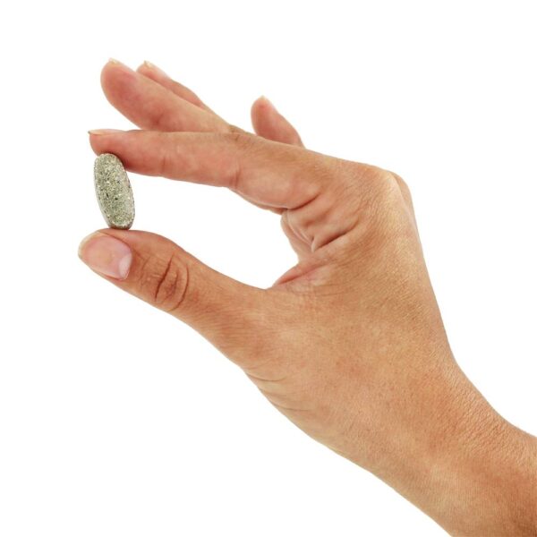 Comprar Vivo Mulheres Múltiplas Vitamina & Mineral Inteiro Comida Energizer - 90 Tablets Nature's Way - Imagem 6