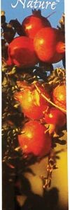 Auroshikha Nature's Made Incense Patchouli -- 16 Sticks