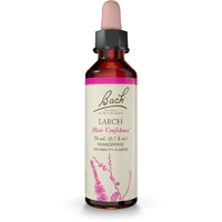 Comprar Bach Original Flower Remedy Dropper Larch Flower Essence -- 0.7 fl oz