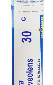 Comprar Boiron Ruta graveolens 30C -- 80 Pellets