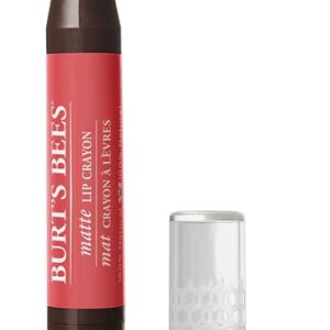 Burt's Bees 100% Natural Moisturizing Lip Crayon Niagara Overlook -- 0.11 oz